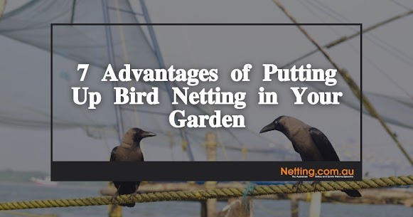 Advantages of bird netting
